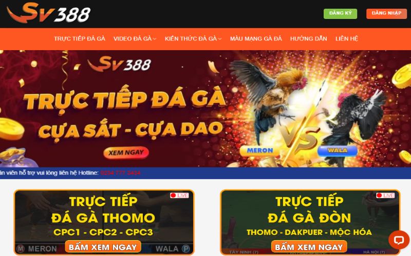 Trực tiếp đá gà mộc hóa hôm nay - Thông tin cần biết